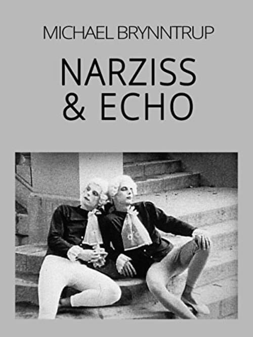 Narziss und Echo (1989) poster