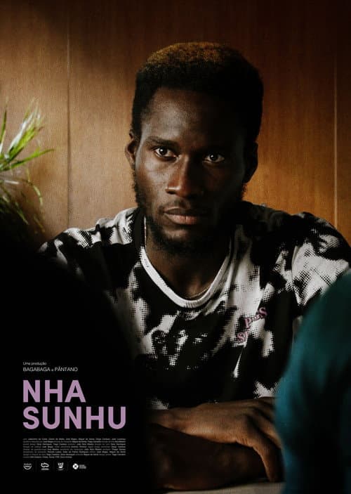 Nha Sunhu (2021) poster
