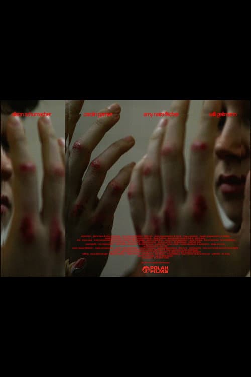 SOLL•BRUCH•STEL•LE (2026) poster
