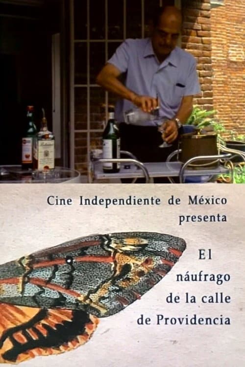 El náufrago de la Calle Providencia (1971) poster