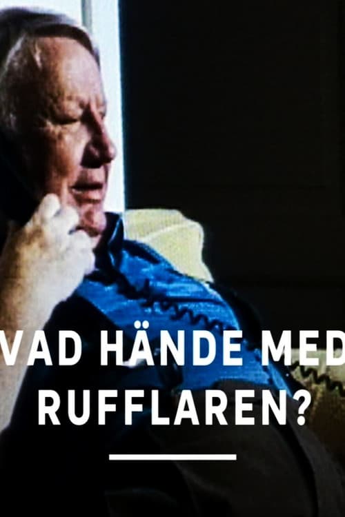 Vad hände med rufflaren? (2004) poster