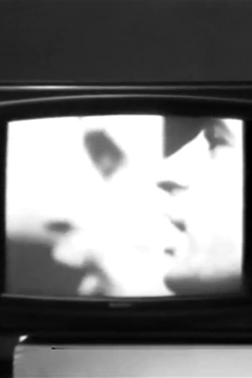 VTR&I (1978) poster