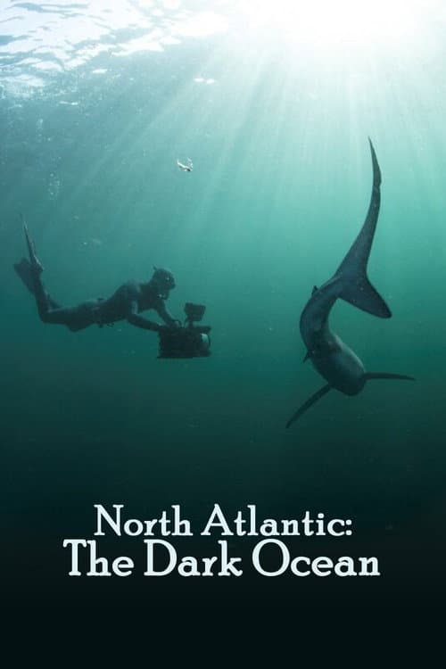 North Atlantic: The Dark Ocean (2023) poster