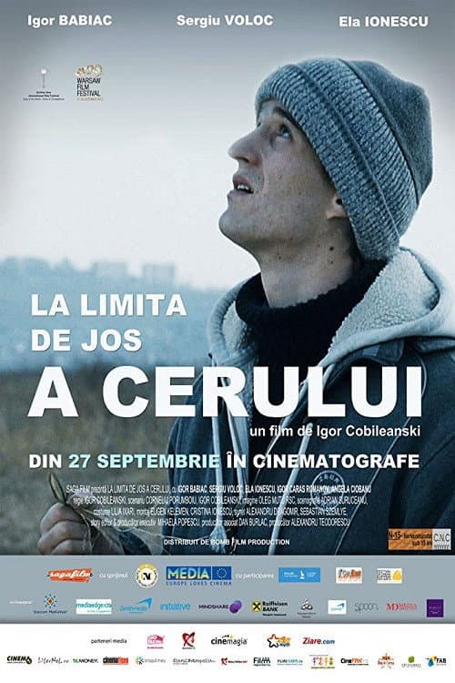La limita de jos a cerului (2013) poster