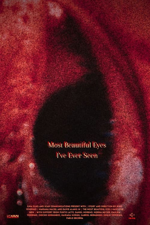 Most Beautiful Eyes I've Ever Seen (2024) poster