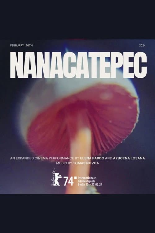 Nanacatepec (2024) poster