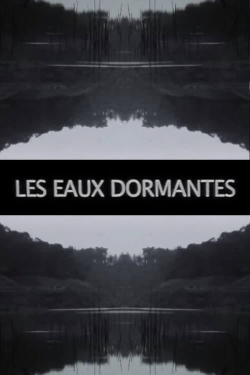Les Eaux dormantes (2016) poster