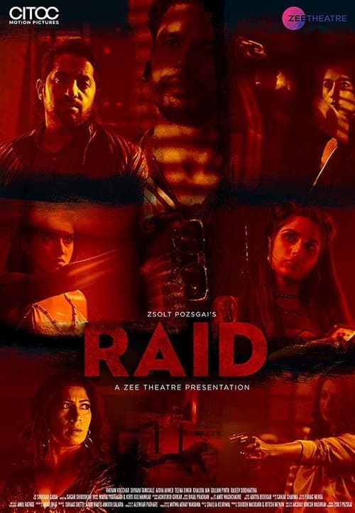 Raid (2019) poster