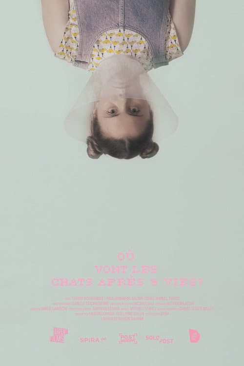 Où vont les chats après 9 vies? (2017) poster