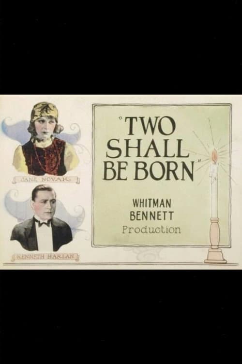 Two Shall Be Born (1924) poster