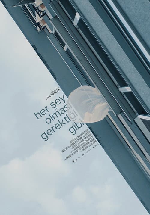 Her Şey Olması Gerektiği Gibi (2021) poster