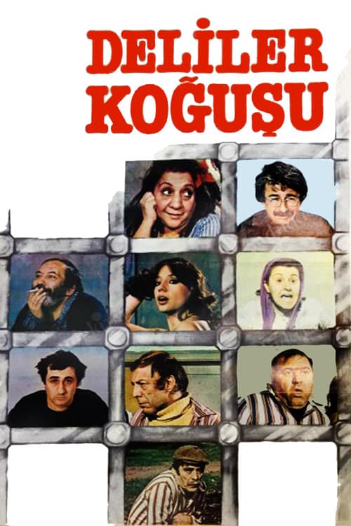 Deliler Koğuşu (1981) poster