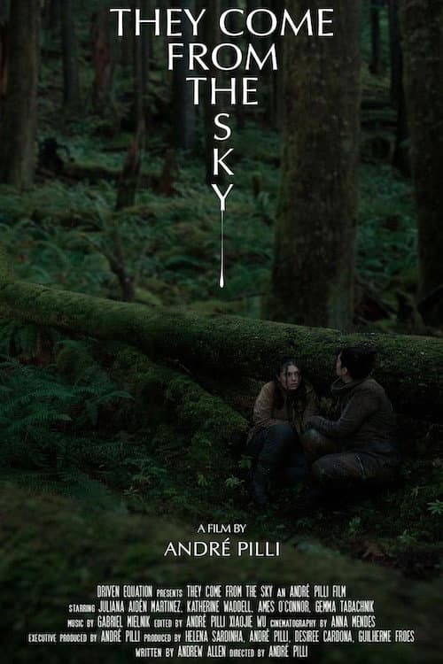 They Come From the Sky (2023) poster