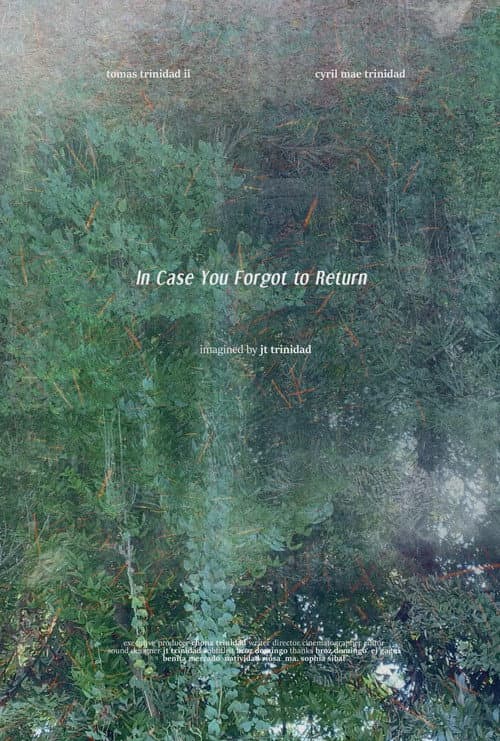 In Case You Forgot to Return (2021) poster