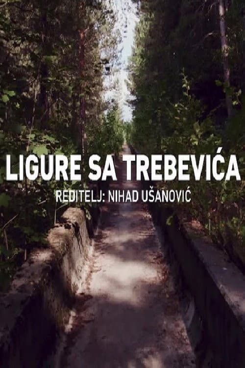 Ligure sa Trebevića (2024) poster