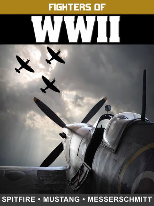 Fighters of WWII: Spitfire, Mustang, and Messerschmitt (2017) poster