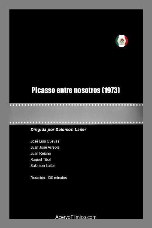 Picasso entre nosotros (1973) poster