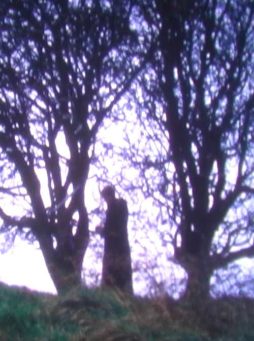 Tír na nÓg (2008) poster