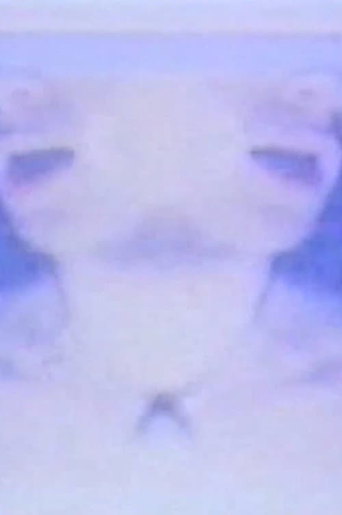 The Heavens (1977) poster
