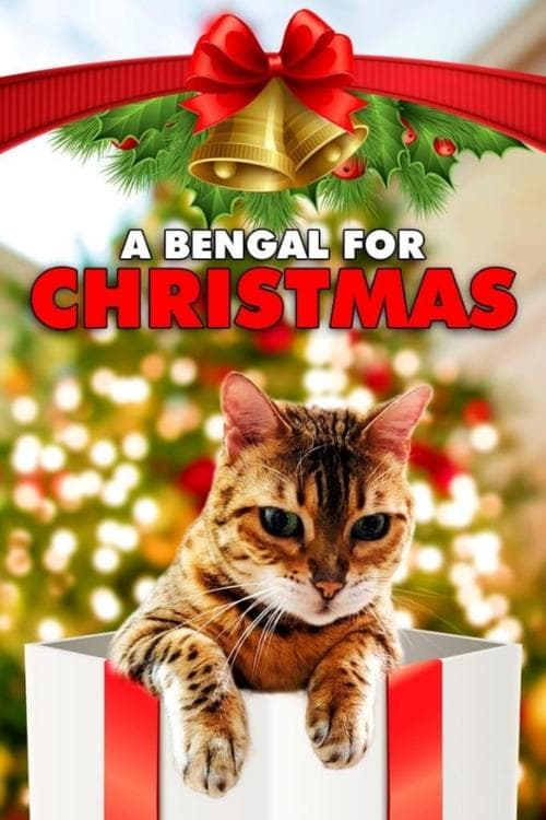A Bengal for Christmas (2023) poster