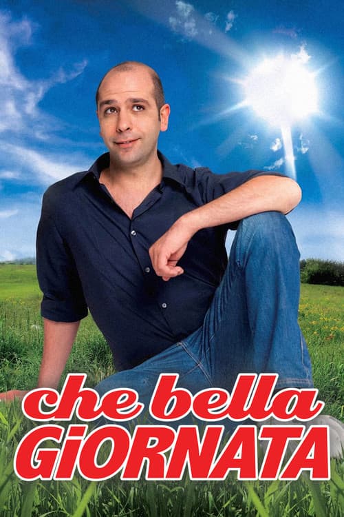 Che bella giornata (2011) poster