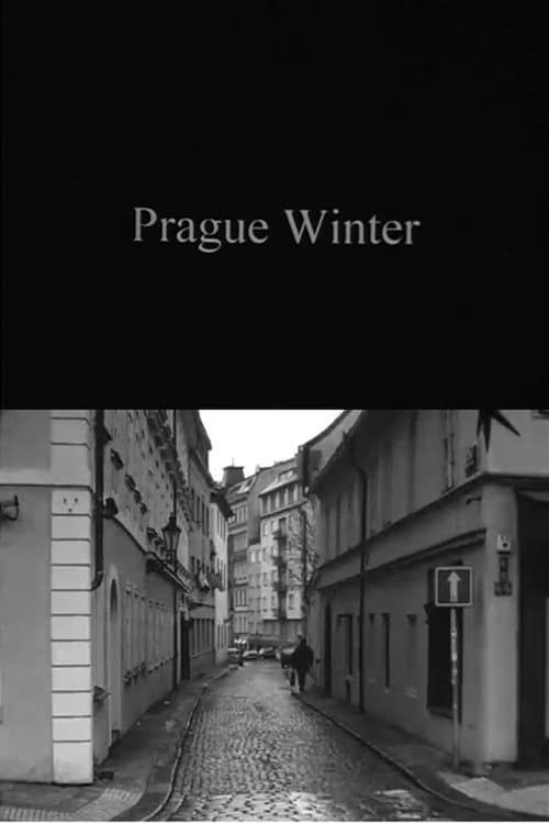 Prague Winter (2007) poster