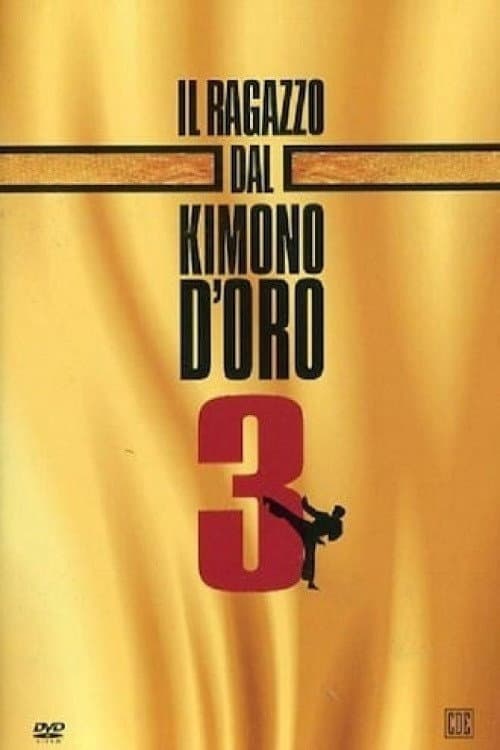 Karate Warrior 3 (1991) poster