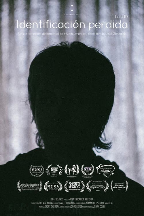 Identificación perdida (2020) poster