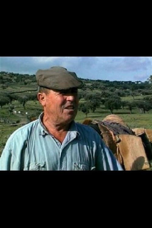 O Guardador de Rebanhos (1999) poster