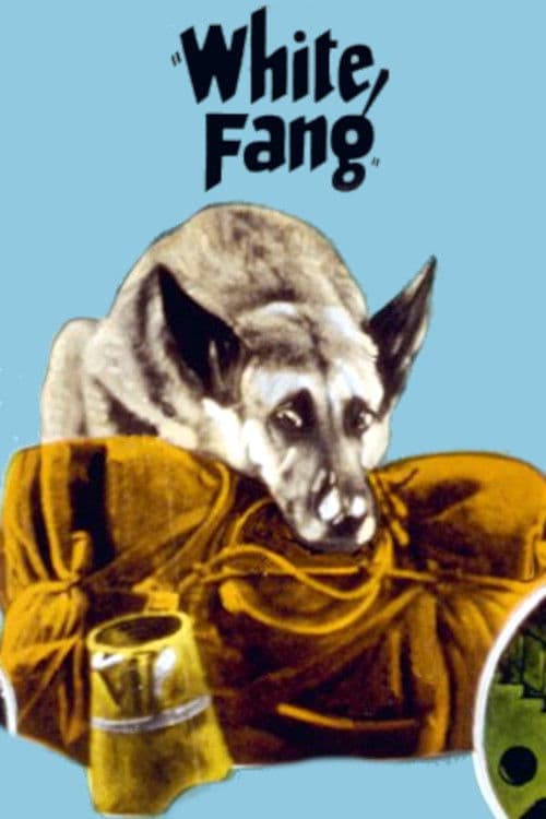 White Fang (1925) poster