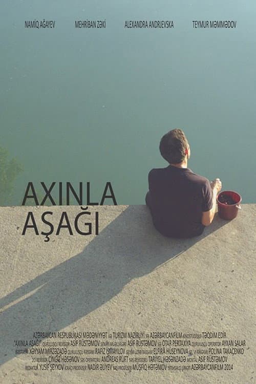 Axınla aşağı (2014) poster