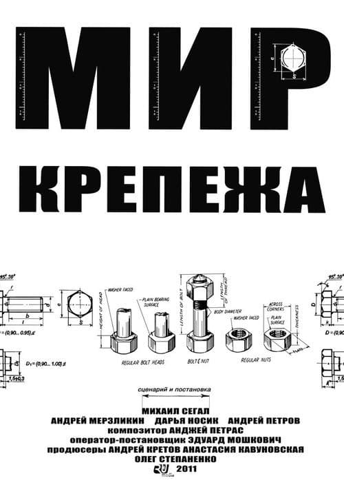Мир Крепежа (2011) poster