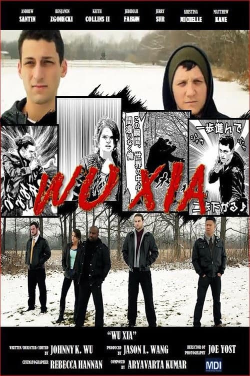 Wu Xia (2016) poster