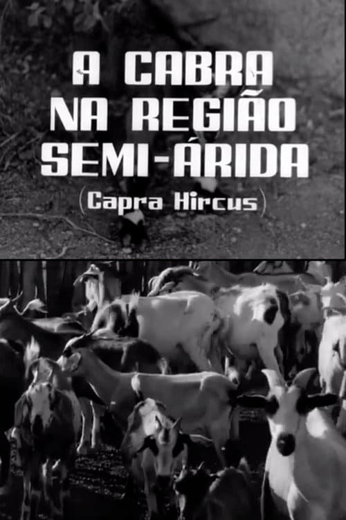 A Cabra na Região Semi-Árida (1966) poster