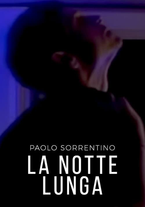 La notte lunga (2001) poster