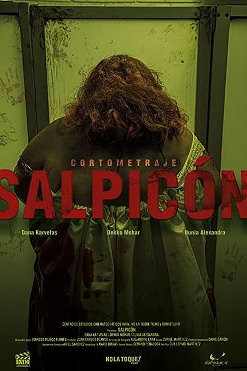 Salpicón (2021) poster