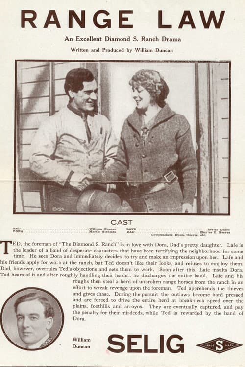 The Range Law (1913) poster