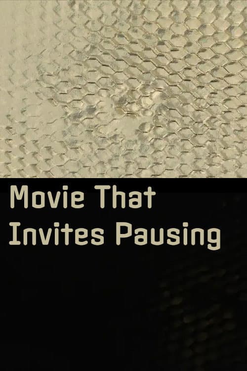 Movie That Invites Pausing (2020) poster