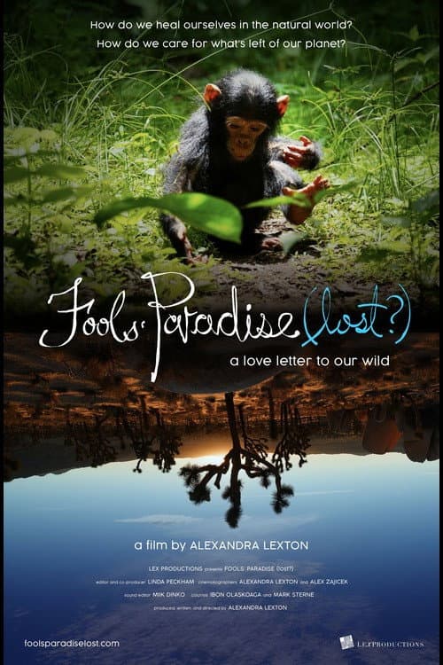 Fools' Paradise (lost?) (2024) poster