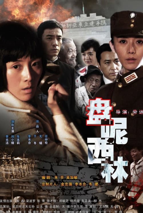 盘尼西林1944 (2008) poster