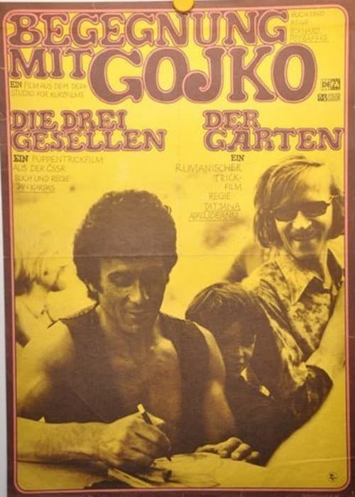 Begegnung mit Gojko (1973) poster