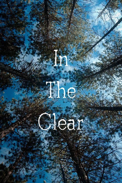 In the Clear (2021) poster