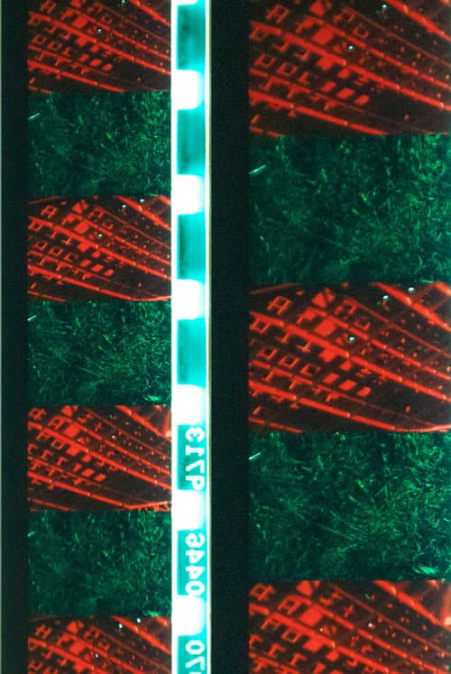 Red Green (2012) poster