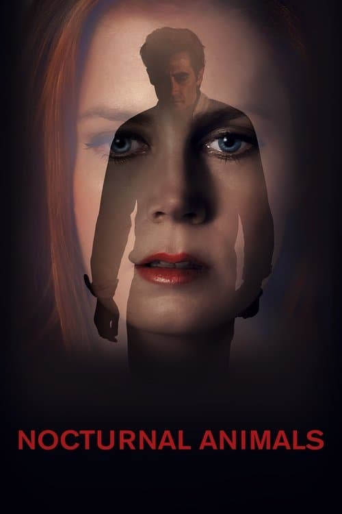 Nocturnal Animals (2016) poster