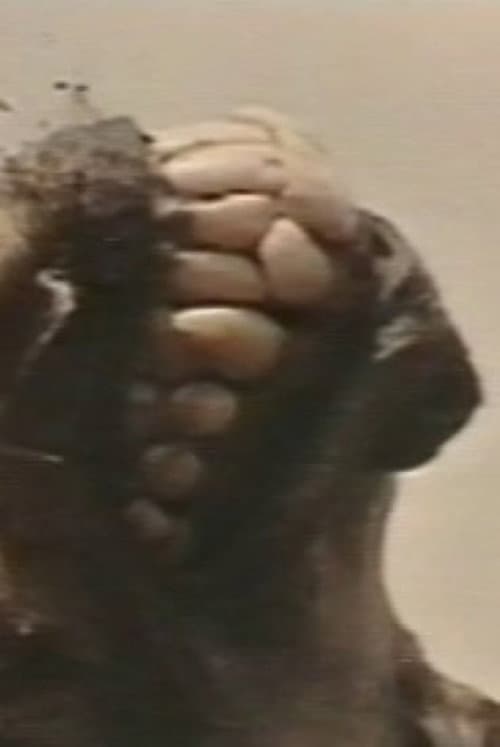 Africa addio (Plagium 11) (1996) poster