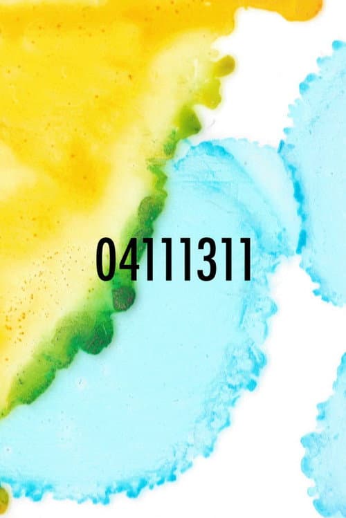 04111311 (2021) poster