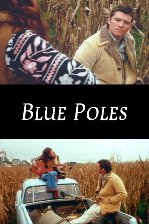 Blue Poles (2004) poster
