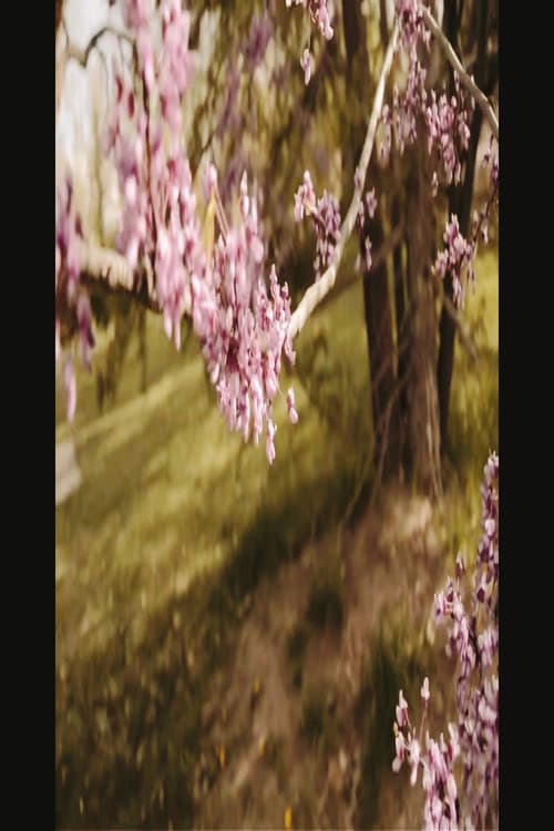 3/1 and 3/3 (Bountiful Gems) (2021) poster