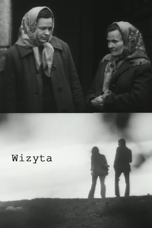 Wizyta (1974) poster