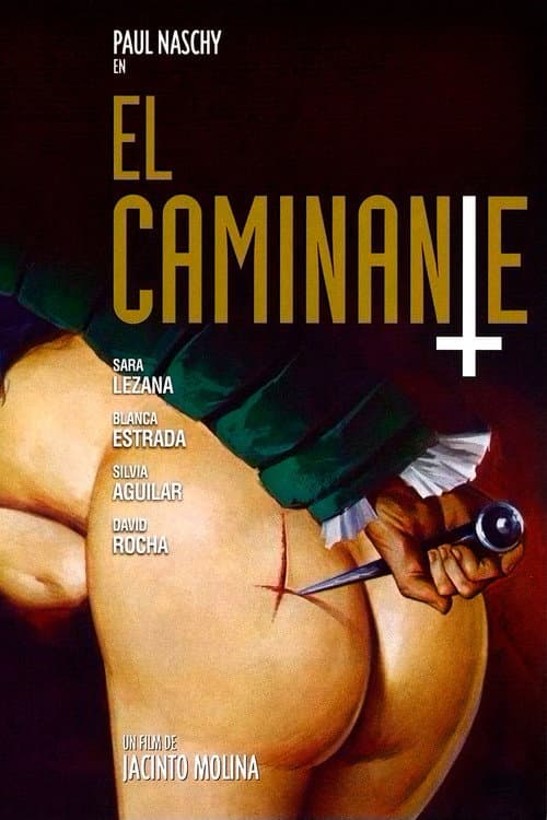 El caminante (1979) poster